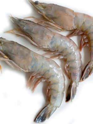 CAMARÓN CRUDO CON CÁSCARA